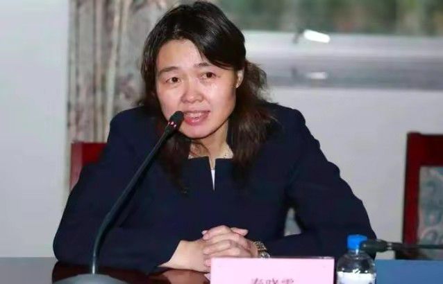 《奇奥的家族》首要讲述的是因某天俄然呈现的神秘家伙令布满个性的一家人与恬静的乡间村落变得一片紊乱的想入非非的笑剧故事。
